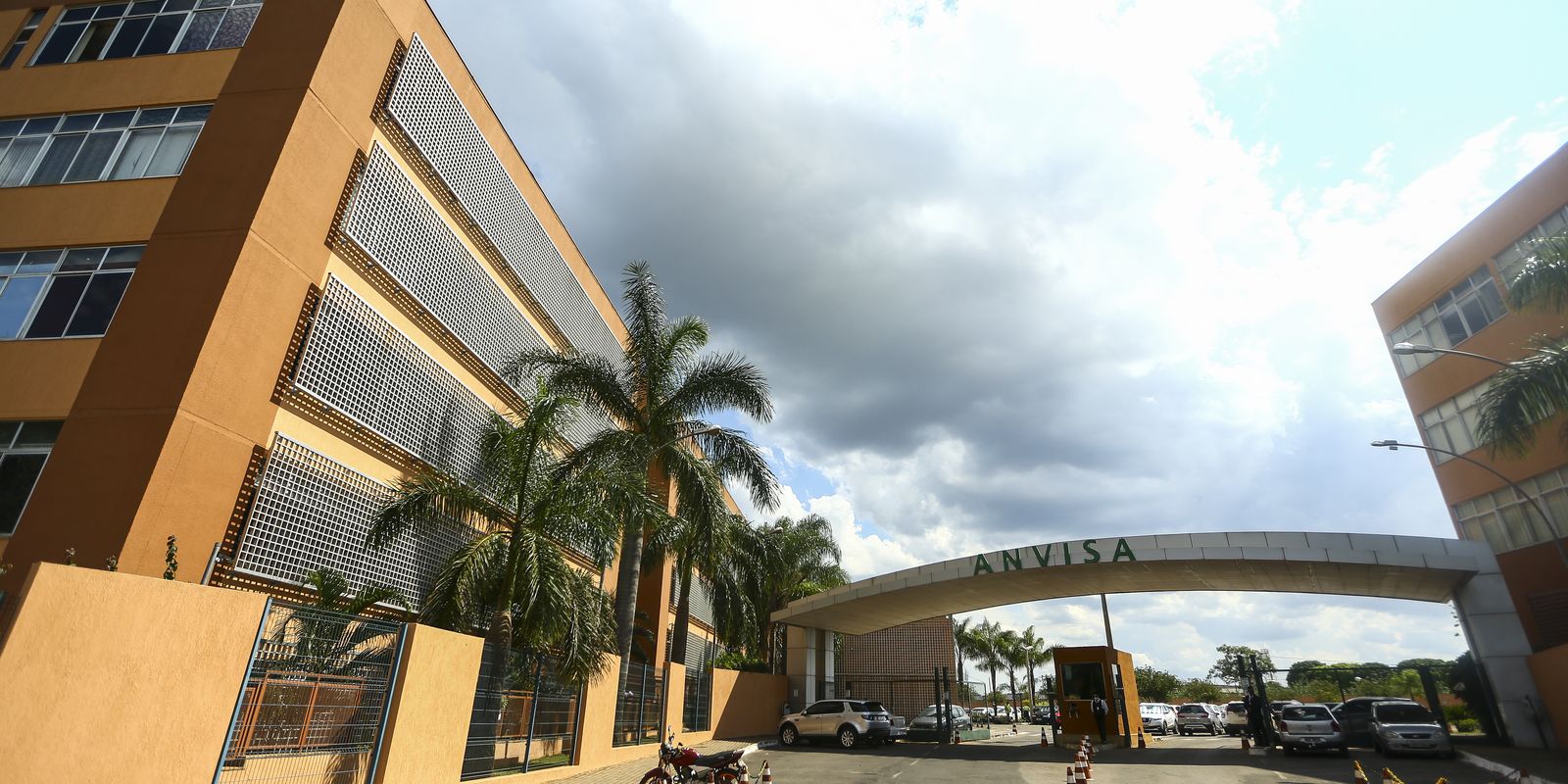 Anvisa autoriza novo tratamento para prevenir hemorragias em pacientes com hemofilia