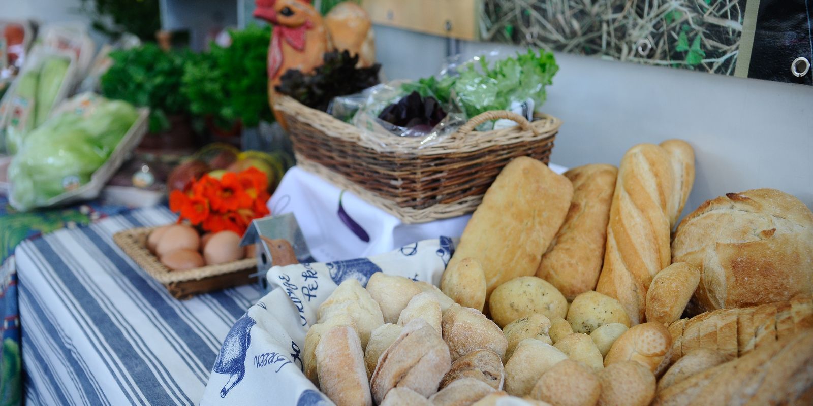 Setor de alimentos e bebidas registra expansão de 8% em 2025, informa Abia