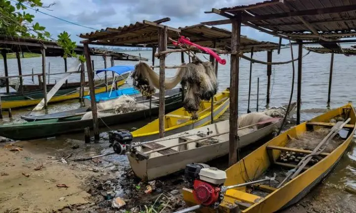 Início do defeso da piracema restringe pesca comercial no país